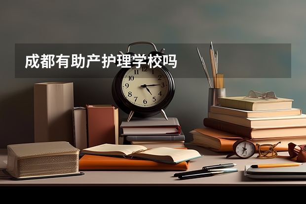 成都有助产护理学校吗