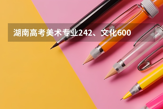 湖南高考美术专业242、文化600能考什么学校？
