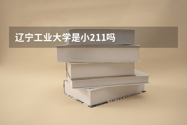 辽宁工业大学是小211吗