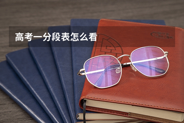 高考一分段表怎么看