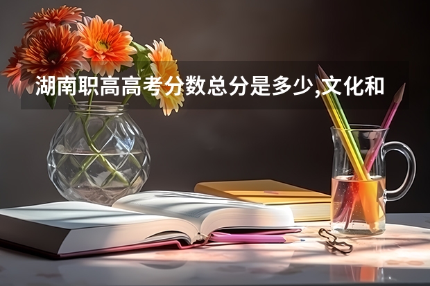 湖南职高高考分数总分是多少,文化和专业,多少能上本科?