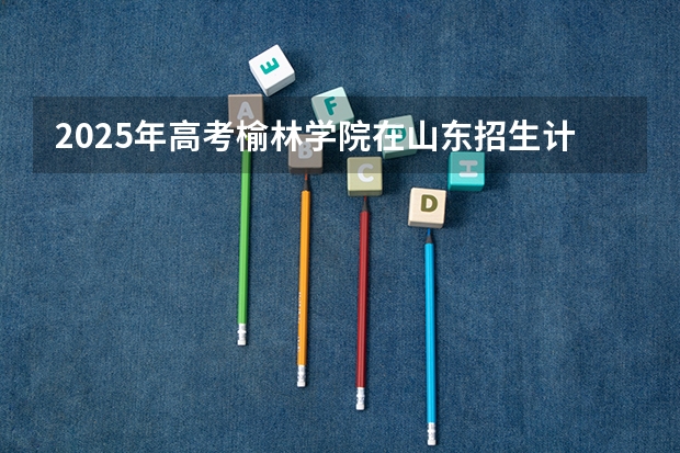 2025年高考榆林学院在山东招生计划