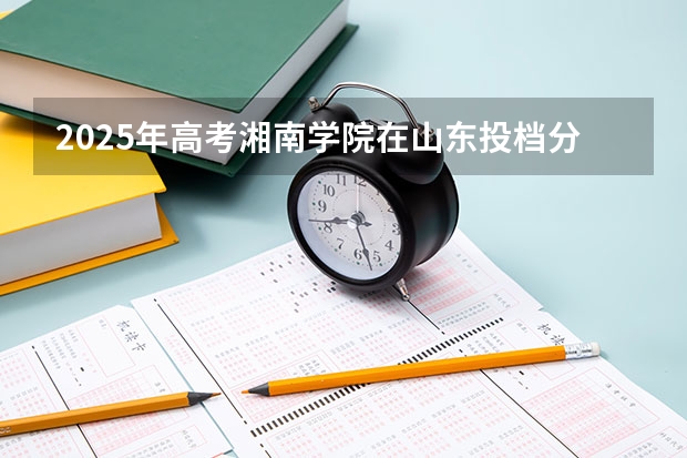 2025年高考湘南学院在山东投档分数线详解