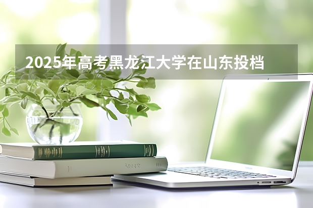 2025年高考黑龙江大学在山东投档分数线详解