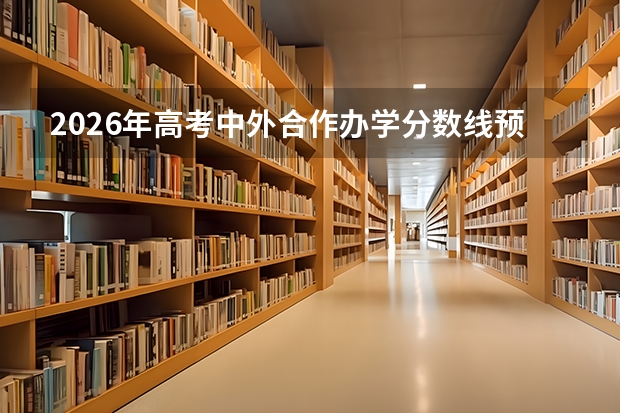 2026年高考中外合作办学分数线预测及性价比分析