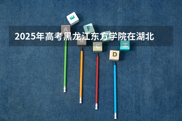 2025年高考黑龙江东方学院在湖北投档分数线详解
