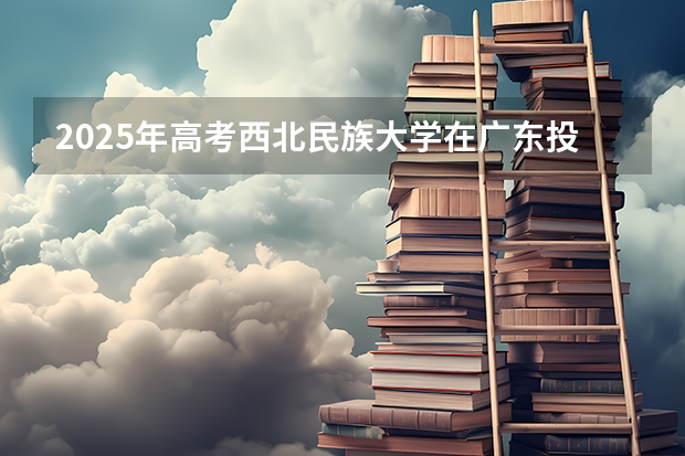 2025年高考西北民族大学在广东投档分数线详解