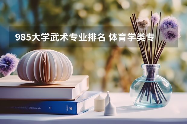 985大学武术专业排名 体育学类专业大学排名