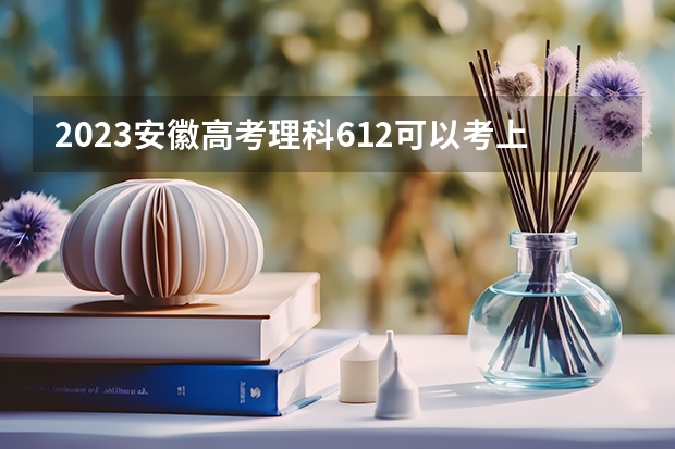 2023安徽高考理科612可以考上什么大学