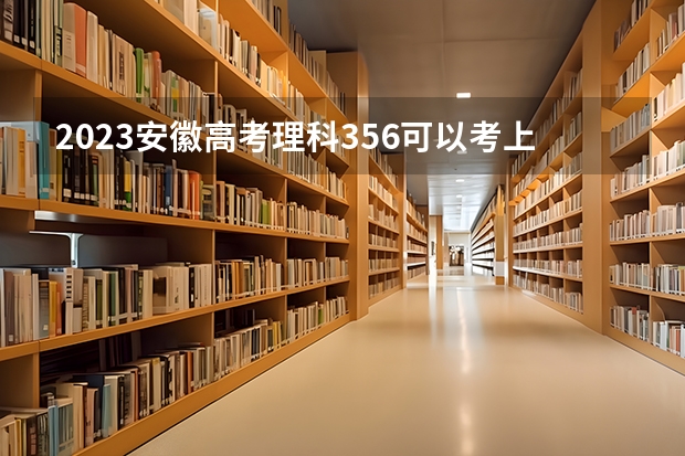 2023安徽高考理科356可以考上什么大学
