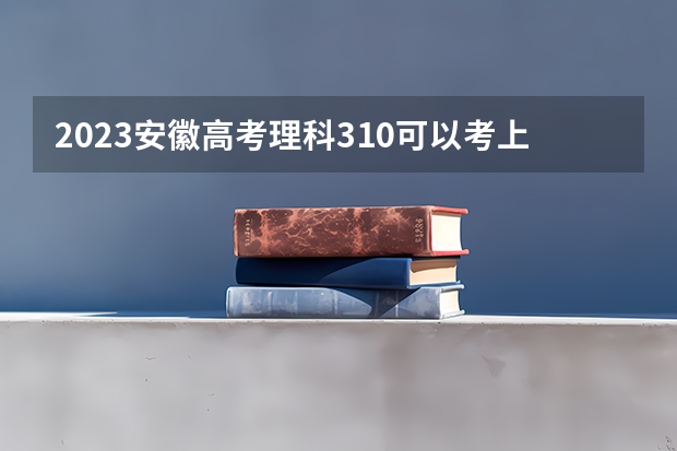 2023安徽高考理科310可以考上什么大学