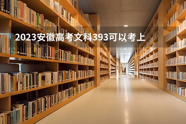 2023安徽高考文科393可以考上什么大学